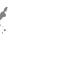 Contact 沖縄ビーチクリーン 海洋環境保護 Nextbluejp